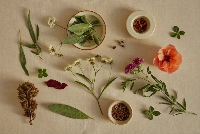 Ten botanicals women have used for generations