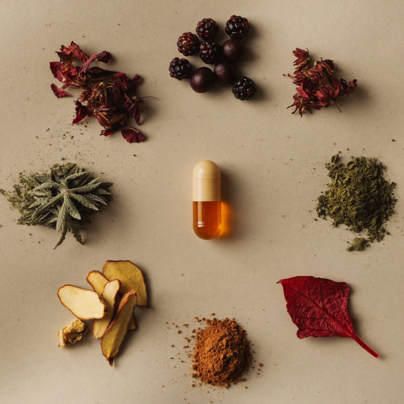 The ten botanicals arranged around the bottle